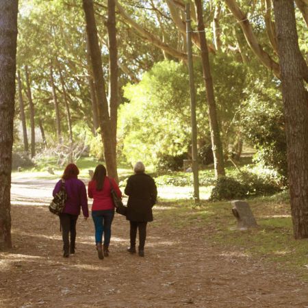 Paseo de los Pinares